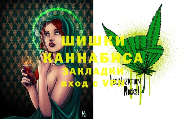 индика Козловка