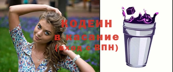 индика Козловка