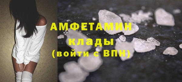 индика Козловка