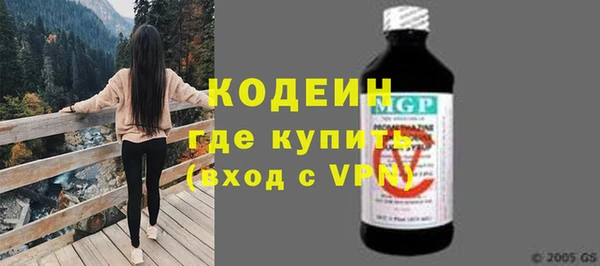 индика Козловка