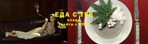 индика Козловка