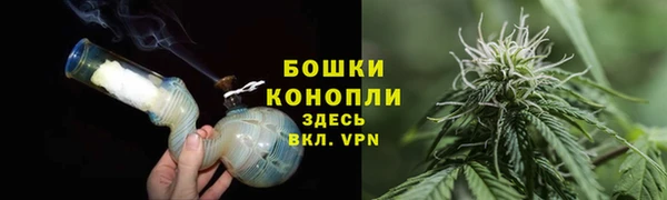 индика Козловка