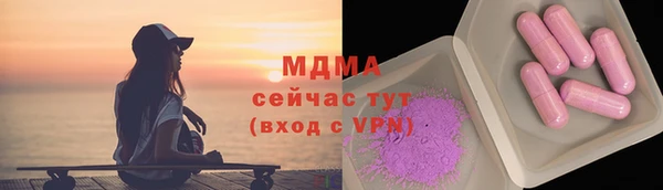 индика Козловка