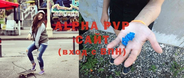 индика Козловка