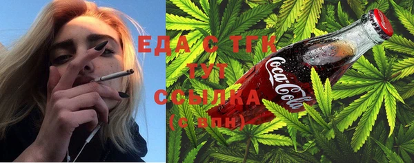 индика Козловка