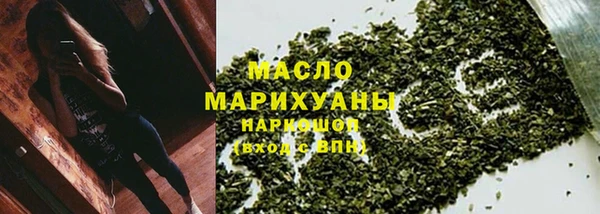 индика Козловка