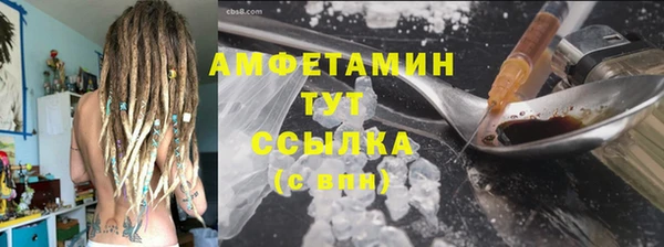 индика Козловка
